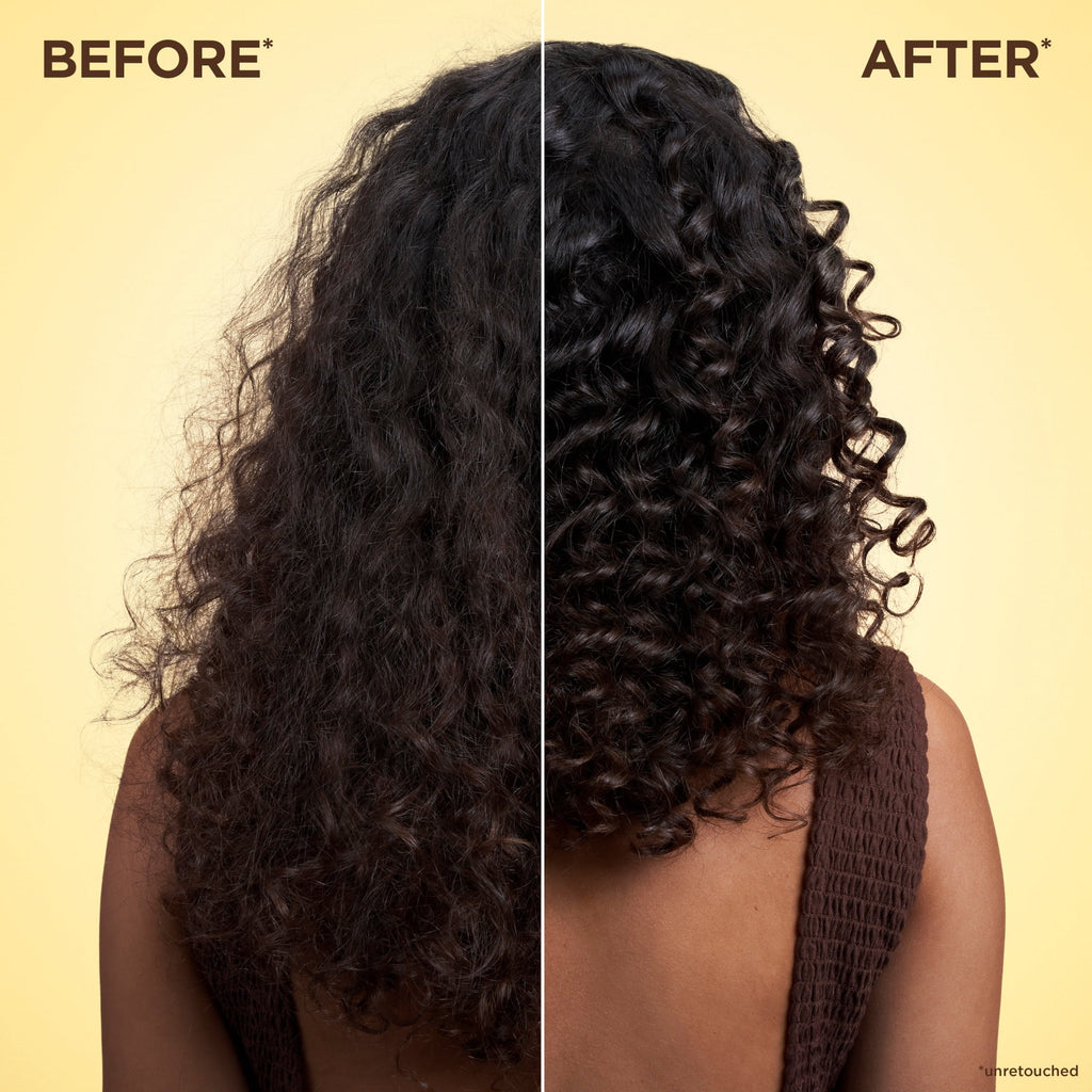 Garnier Whole Blends Honey Water Moisture Restoring Conditioner, Dry Hair, Squeeze, 12.5 fl oz