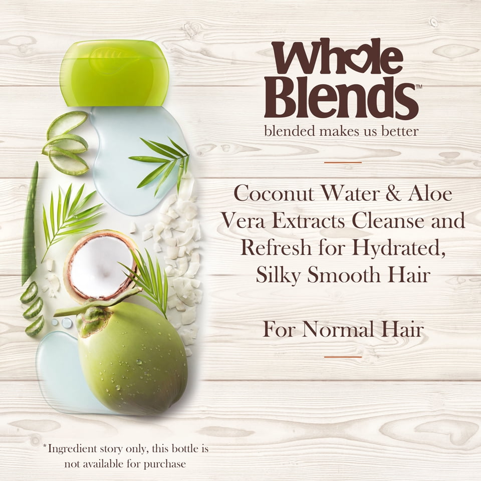 Garnier Whole Blends Moisturizing Shampoo and Conditioner, Dehydrated Hair, 1 Kit