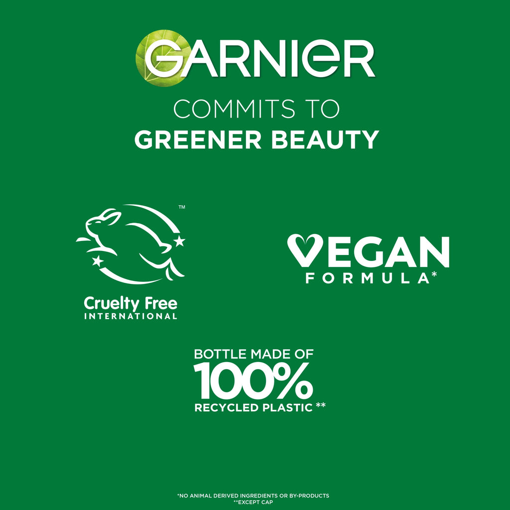 Garnier Fructis Sleek & Shine Sleek and Stay, for Frizzy and Dry Hair, Pump, 1.69 fl oz