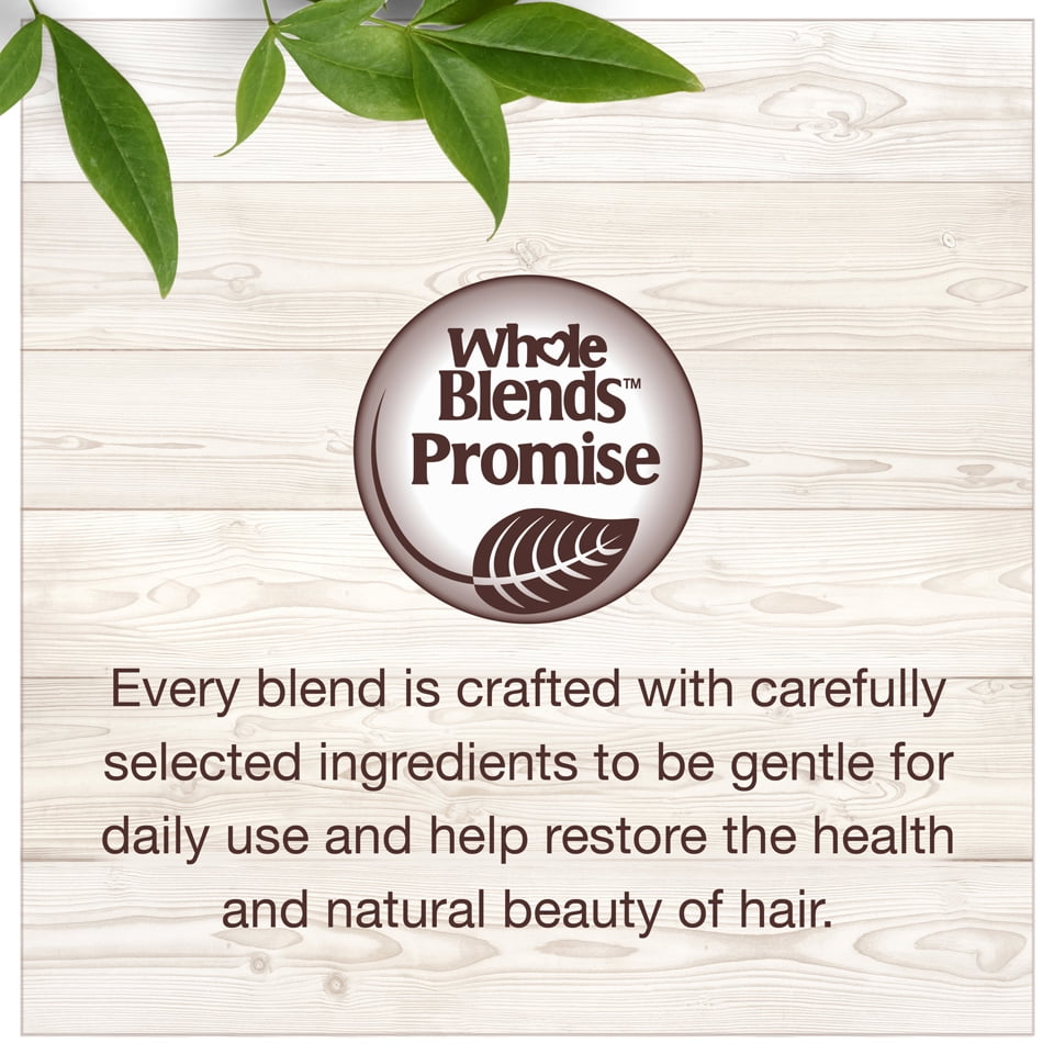 Garnier Whole Blends Moisturizing Shampoo and Conditioner, Dehydrated Hair, 1 Kit