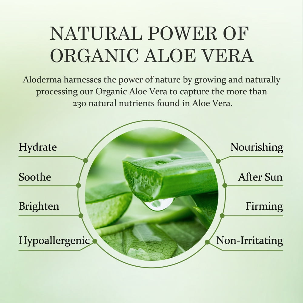 Aloderma Aloe Hydrating Facial Toner with 91% Organic Aloe Vera Juice - Moisturizing Toner for Face with Bergamot Oil - Aloe Vera Face Toner for Women & Men for Deep Hydration & Nourishment