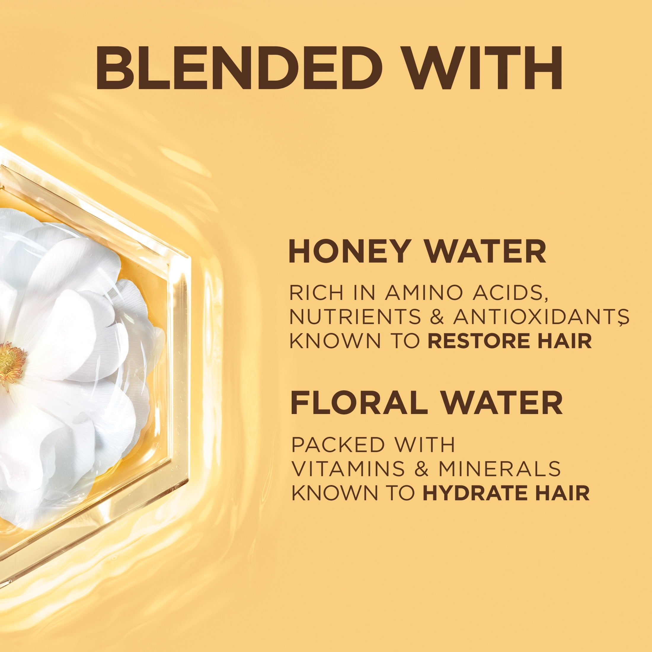 Garnier Whole Blends Honey Water Moisture Restoring Shampoo, Dry Hair, 28 fl oz