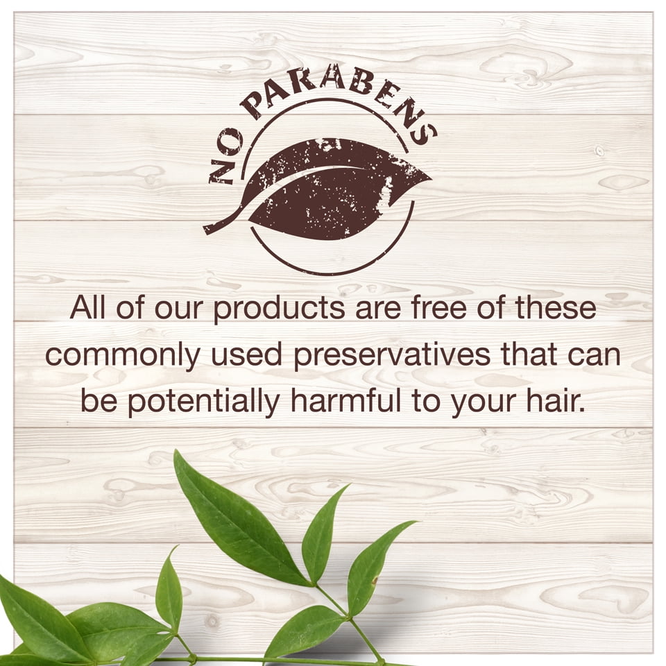 Garnier Whole Blends Moisturizing Shampoo and Conditioner, Dehydrated Hair, 1 Kit